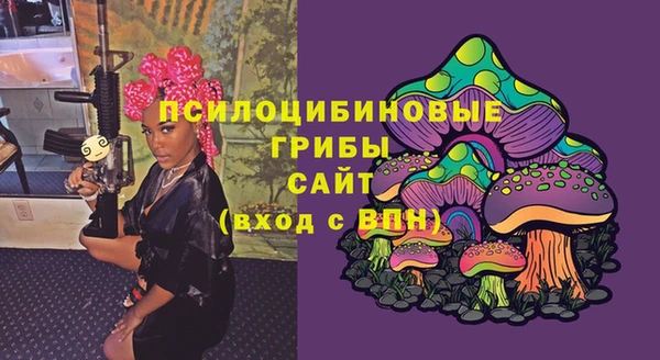 ECSTASY Бугульма