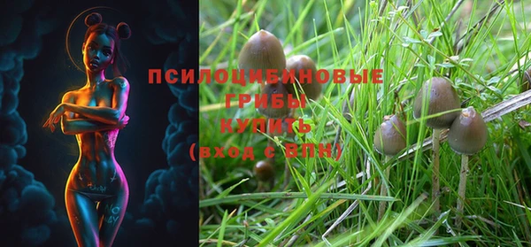 ECSTASY Бугульма