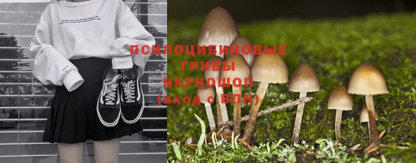 ECSTASY Бугульма